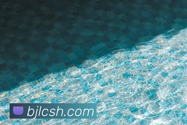 百家乐网站平台生态图